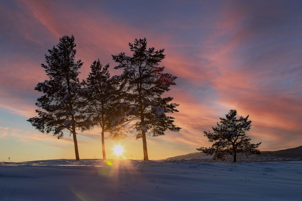 Photograph by Валерий Шорохов