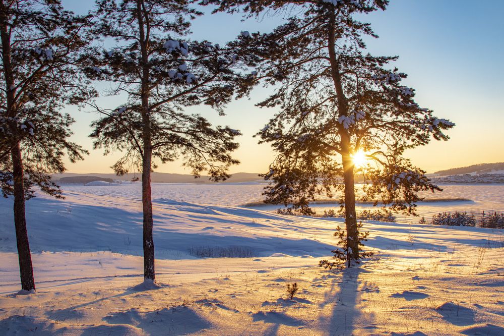 Photograph by Валерий Шорохов