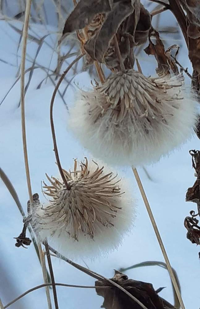 Photograph by Андрей Зиновьев