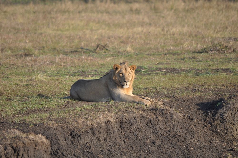 Photograph by Nuno Sousa