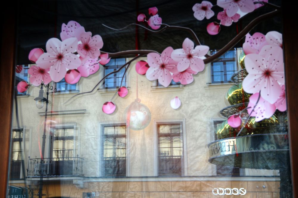 Photograph by Anna Banasiak