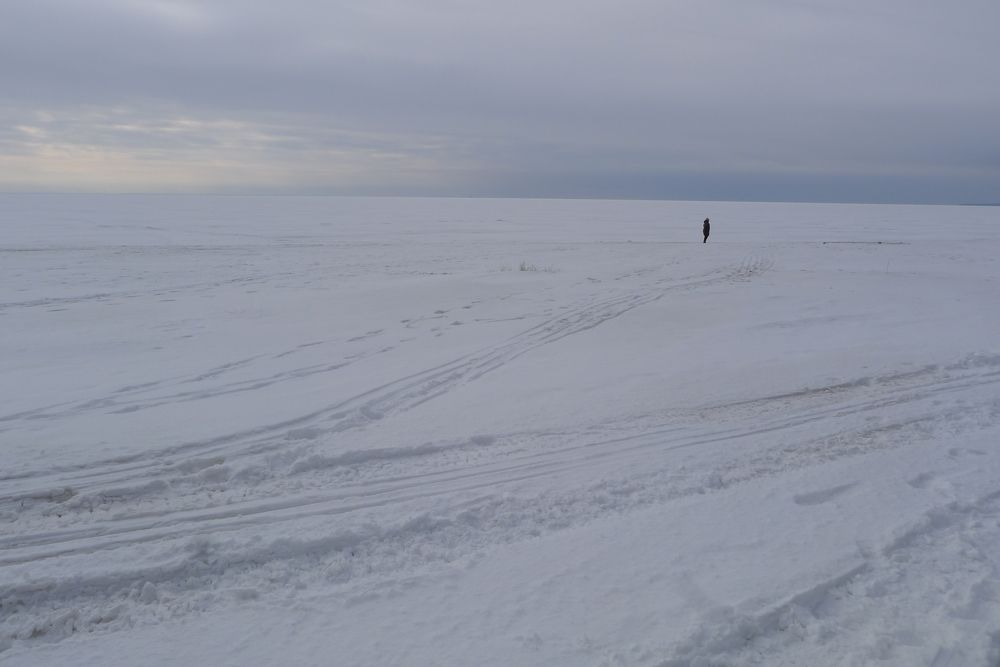 Photograph by Харис Шахмаметьев