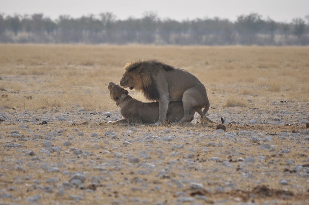 Photograph by Nuno Sousa