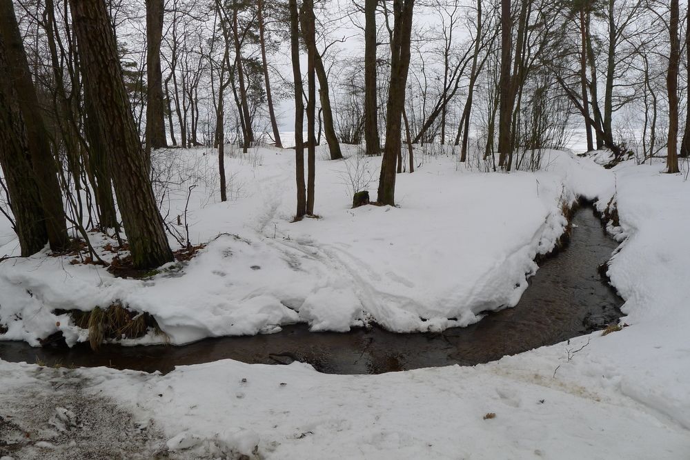 Photograph by Харис Шахмаметьев