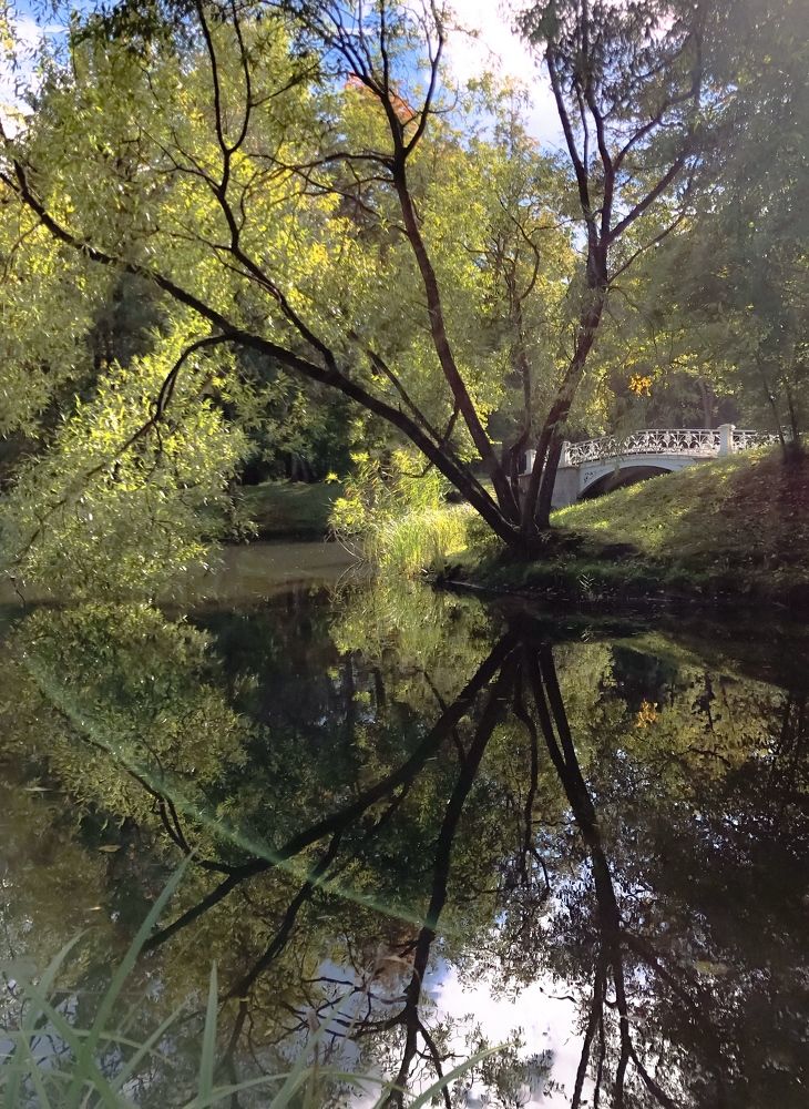 Photograph by Гордеева Ирина