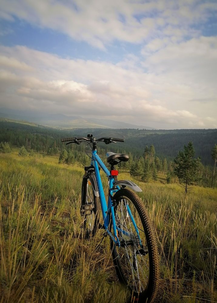 Photograph by Светлана Шелухеева