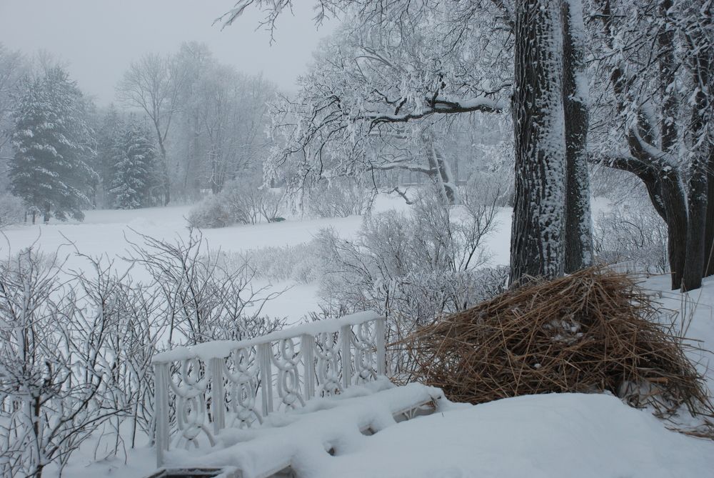 Photograph by Харис Шахмаметьев