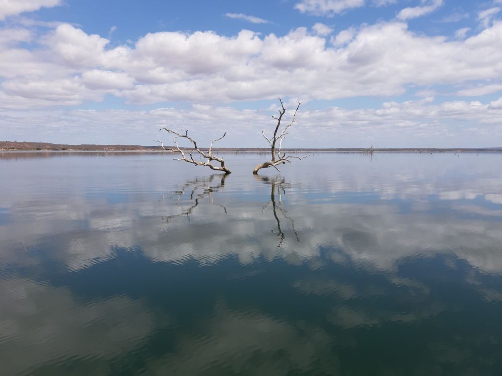 Photograph by Nuno Sousa