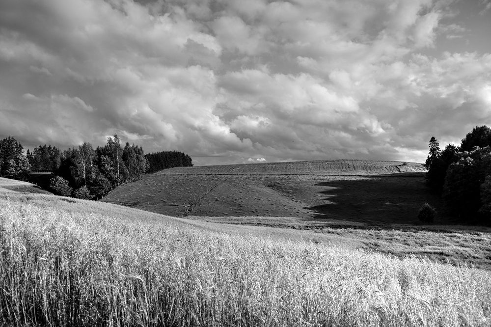 Photograph by Anna Banasiak