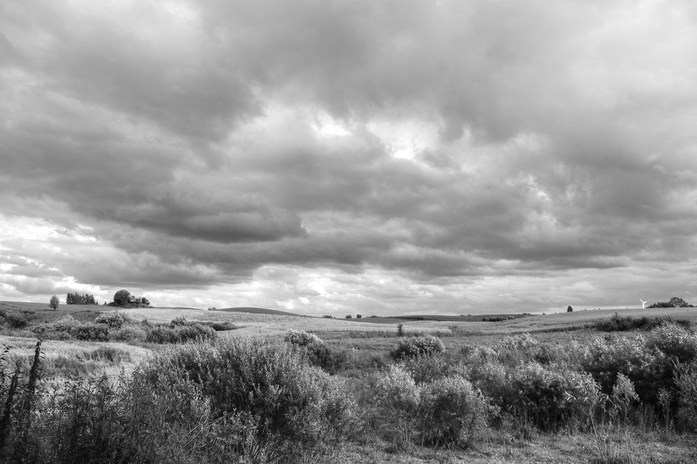 Photograph by Anna Banasiak