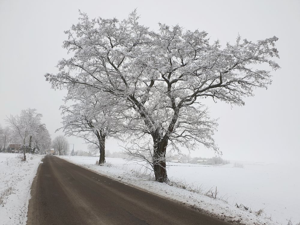 Photograph by Marcin Sokolowski - maarew