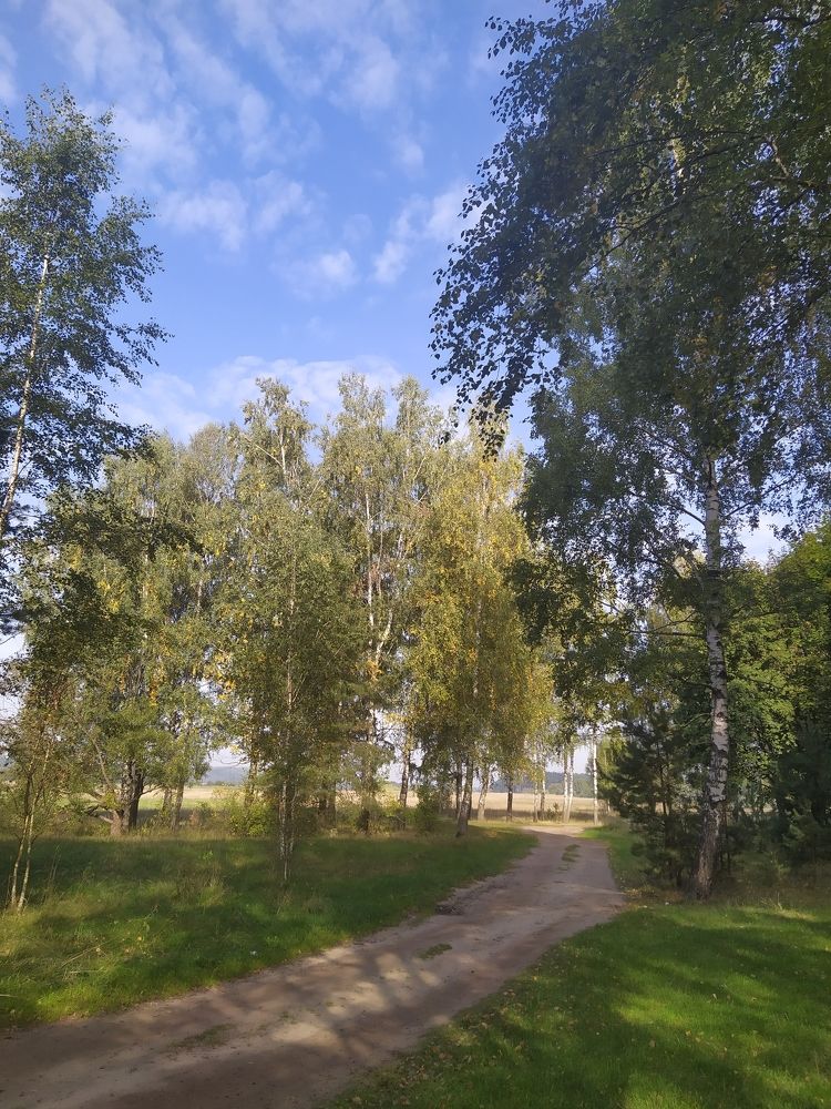 Photograph by Александр