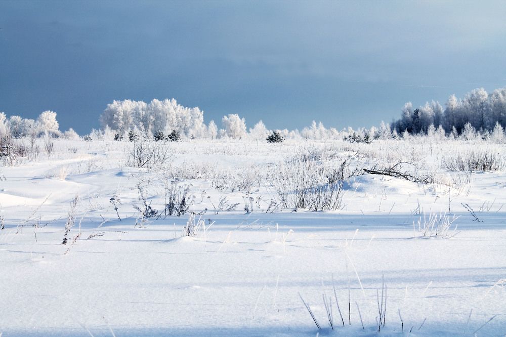 Photograph by Людмила Крышковец