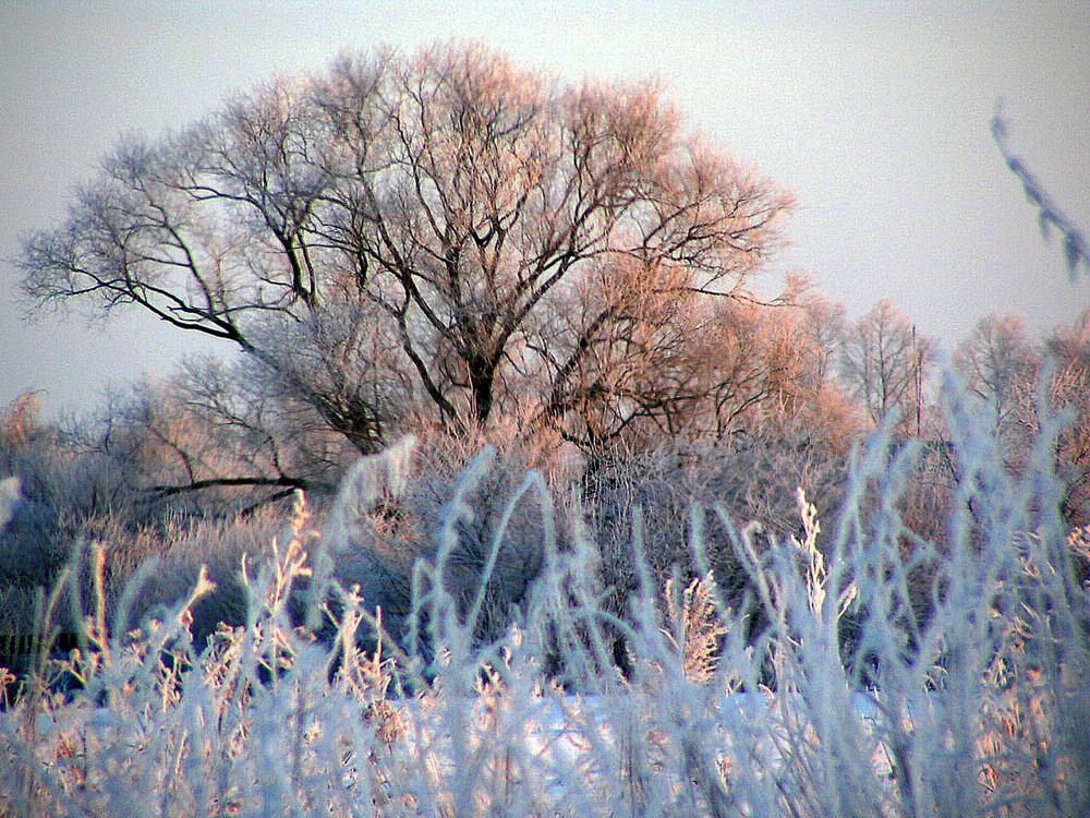 Photograph by Людмила Крышковец