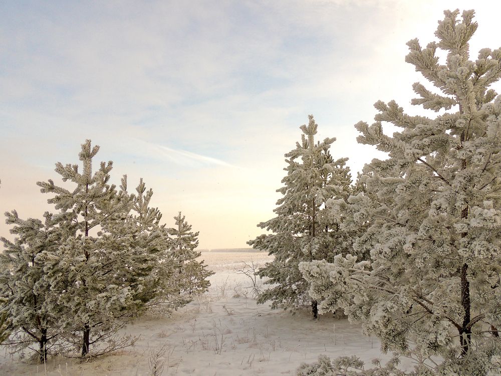 Зимний рассвет