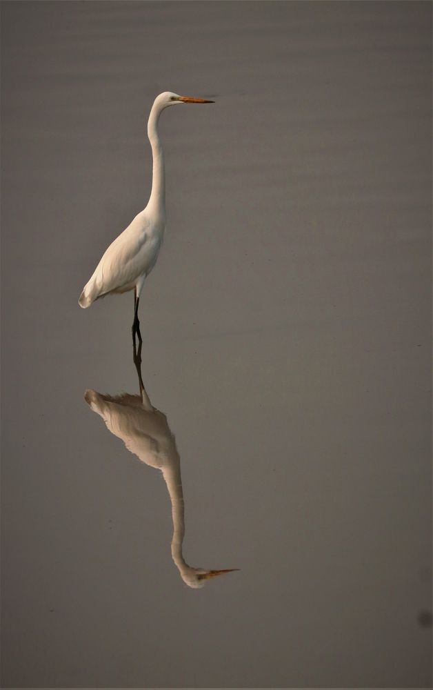 Photograph by Omkar Deshpande