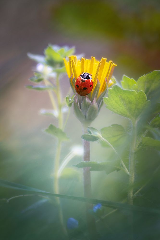 Там где всегда хорошо...