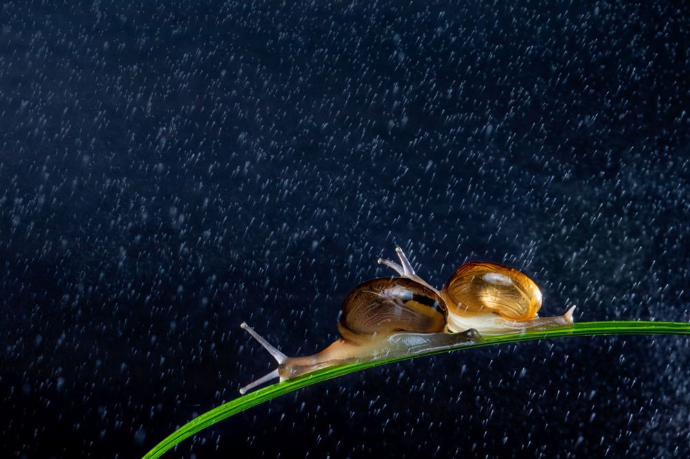 Photograph by Ashok Kallagunta