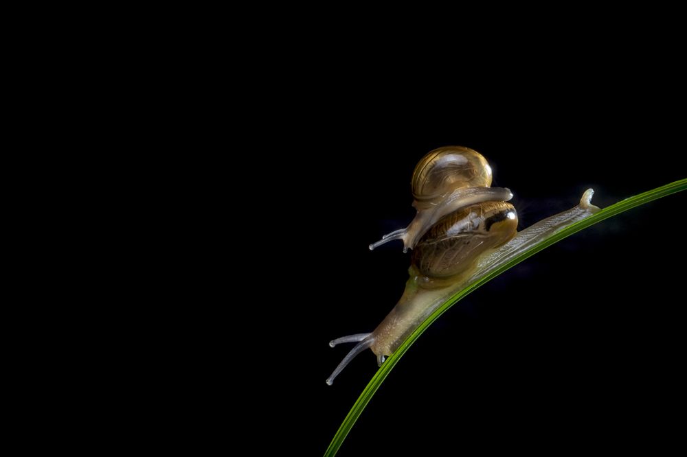 Photograph by Ashok Kallagunta