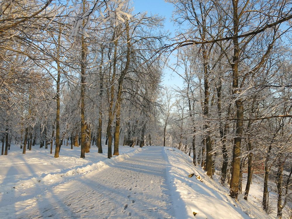 Photograph by ЭЛЬМИРА  ИСМАИЛОВА