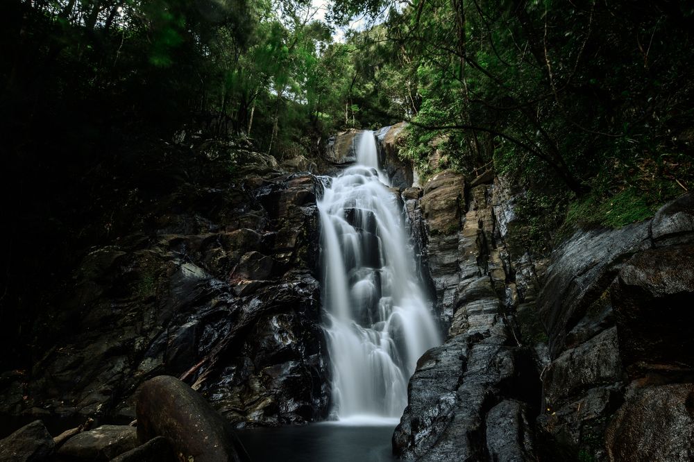 Photograph by Dileeka Giyantha Liyana Kankanamge