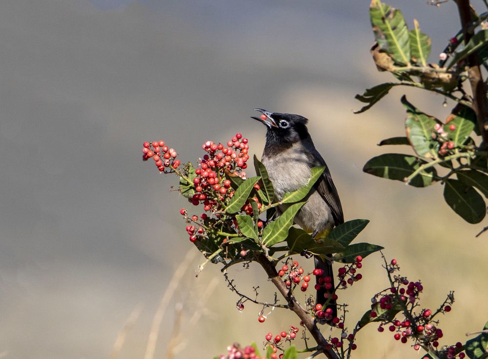 Photograph by Валентина Лопаткина