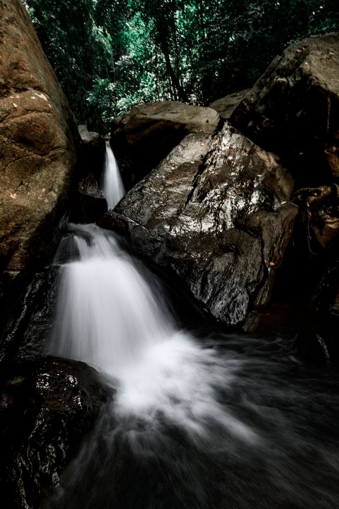 Photograph by Dileeka Giyantha Liyana Kankanamge