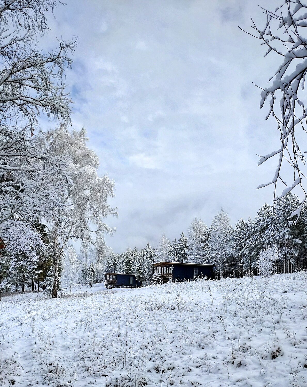Photo #6936431