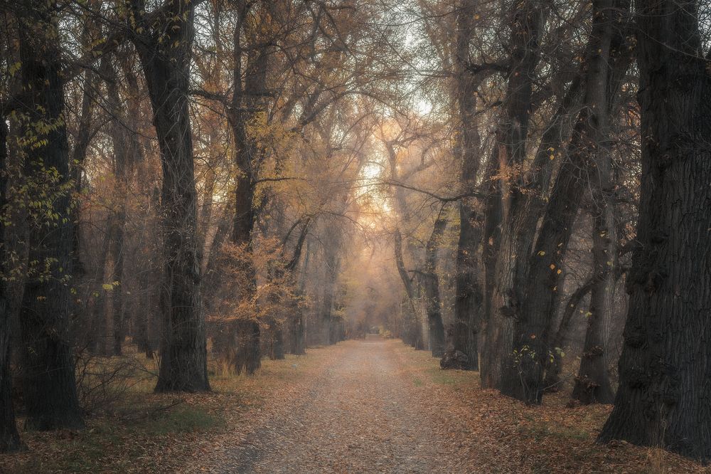 Поздняя осень...