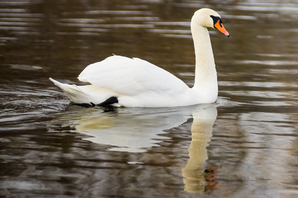 Photograph by Yurii Smirnov