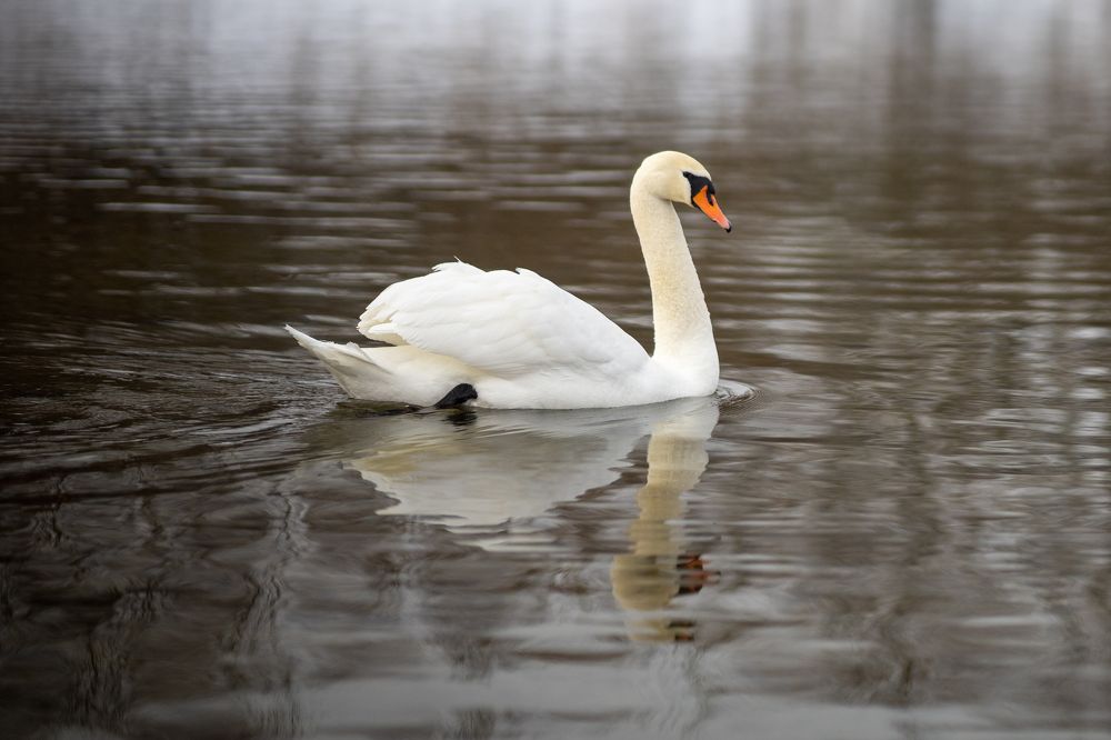 Photograph by Yurii Smirnov