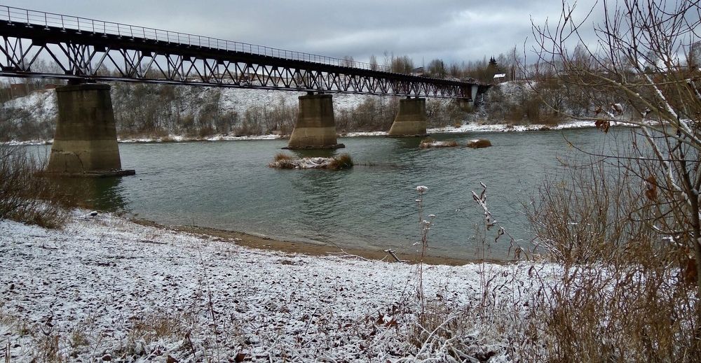 Родные берега