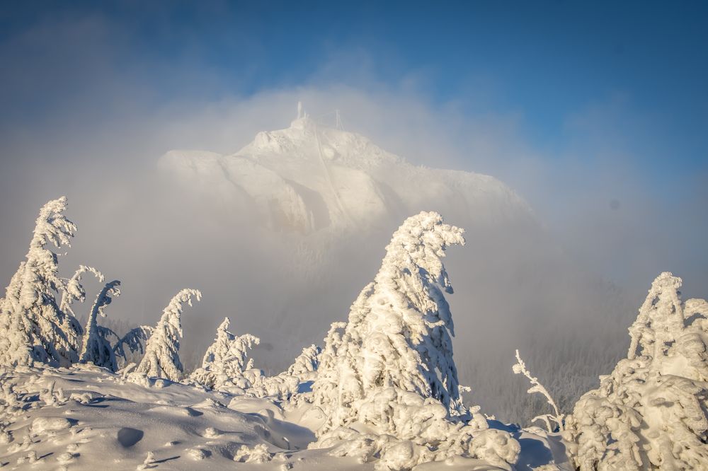 Photograph by Cosma Laura