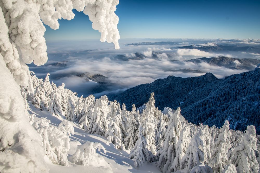 Photograph by Cosma Laura