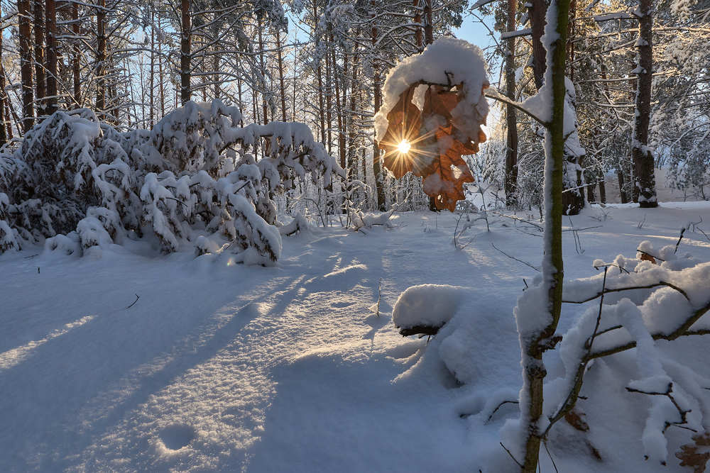 Фотография автора Владислав Храмцов