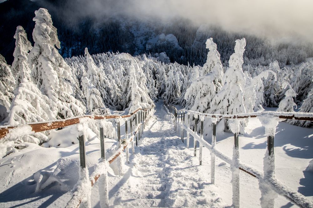 Photograph by Cosma Laura