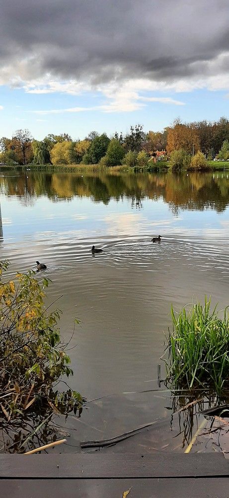 Photograph by Марийона Савоненко