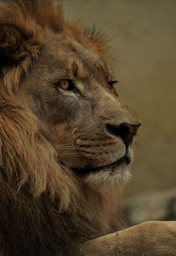 Photograph by Ирина Салминен