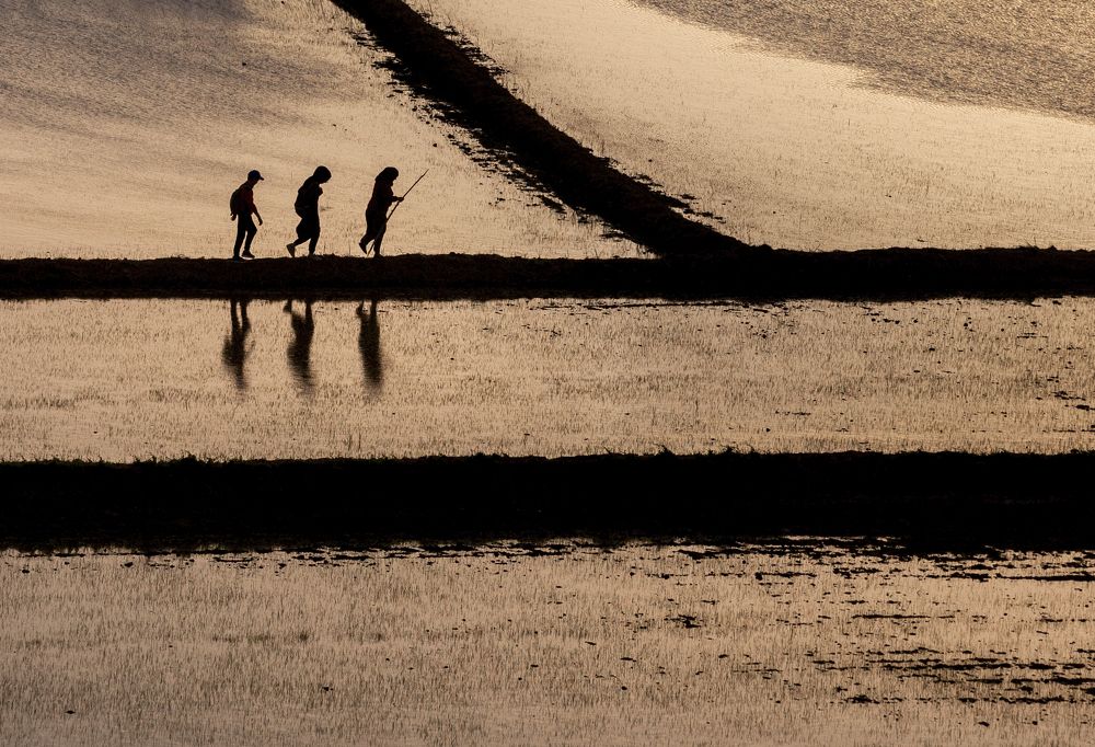 Photograph by Acar Ali