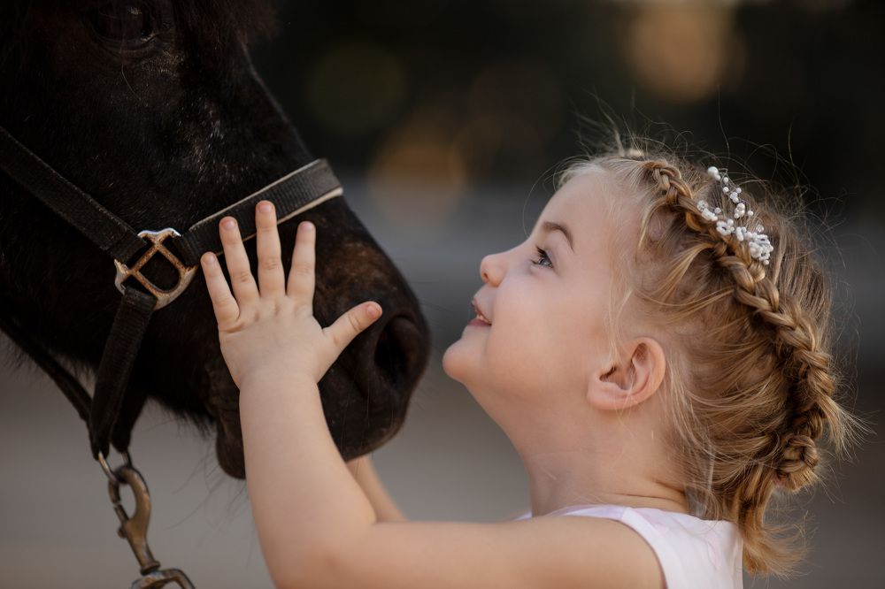 Photograph by Rahel Barenshtein