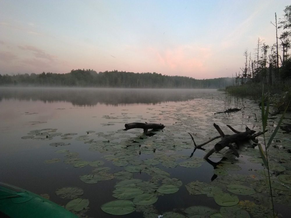 Photograph by Сергей Розочкин