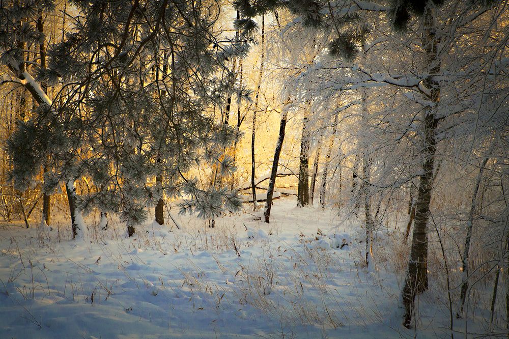 Photograph by Борис Назаров