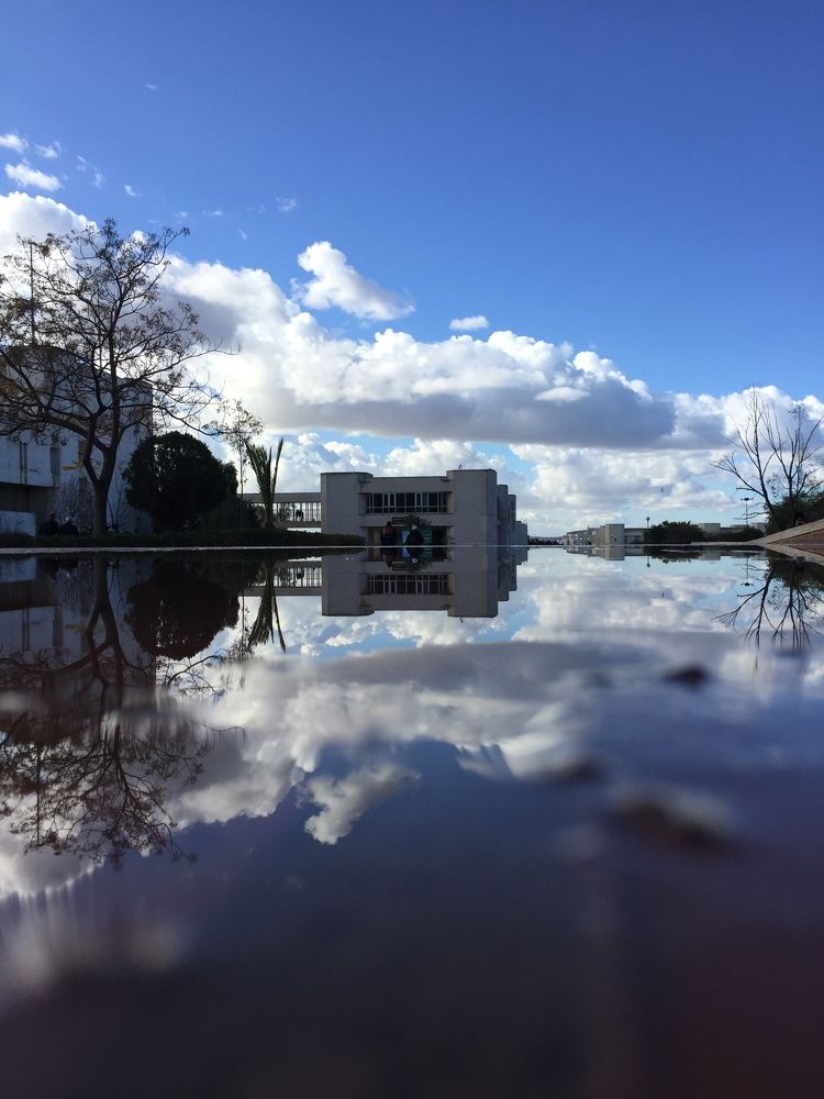 Photograph by Sahraoui Yamina