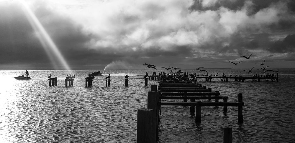 Фотография автора Иван Алексеев