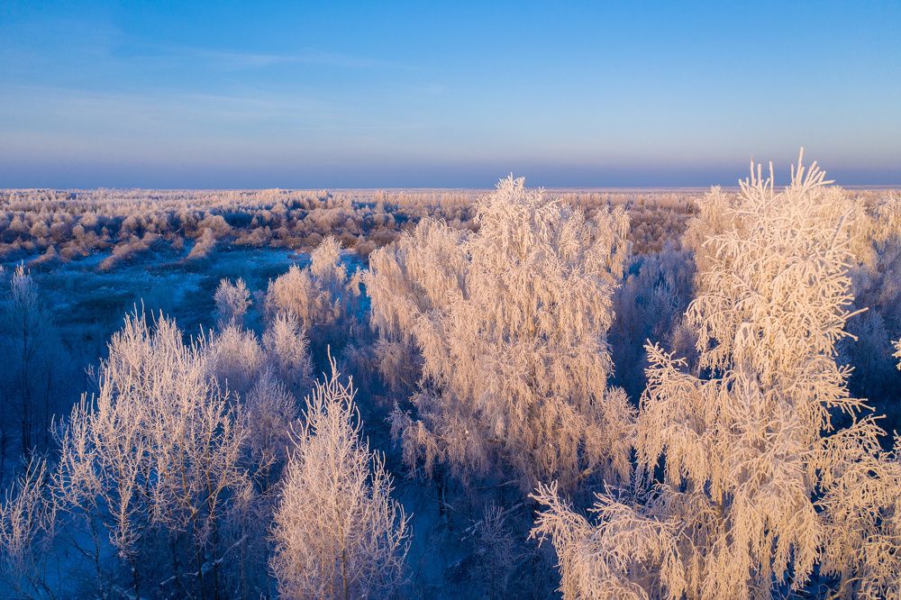 Photograph by Баландин Дмитрий