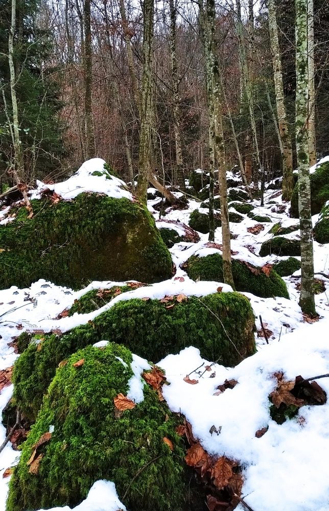 Photograph by Elena Chornobel