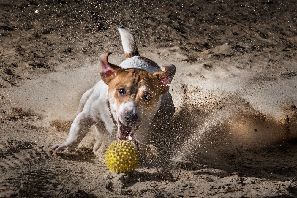 Фотография автора Владислав Храмцов
