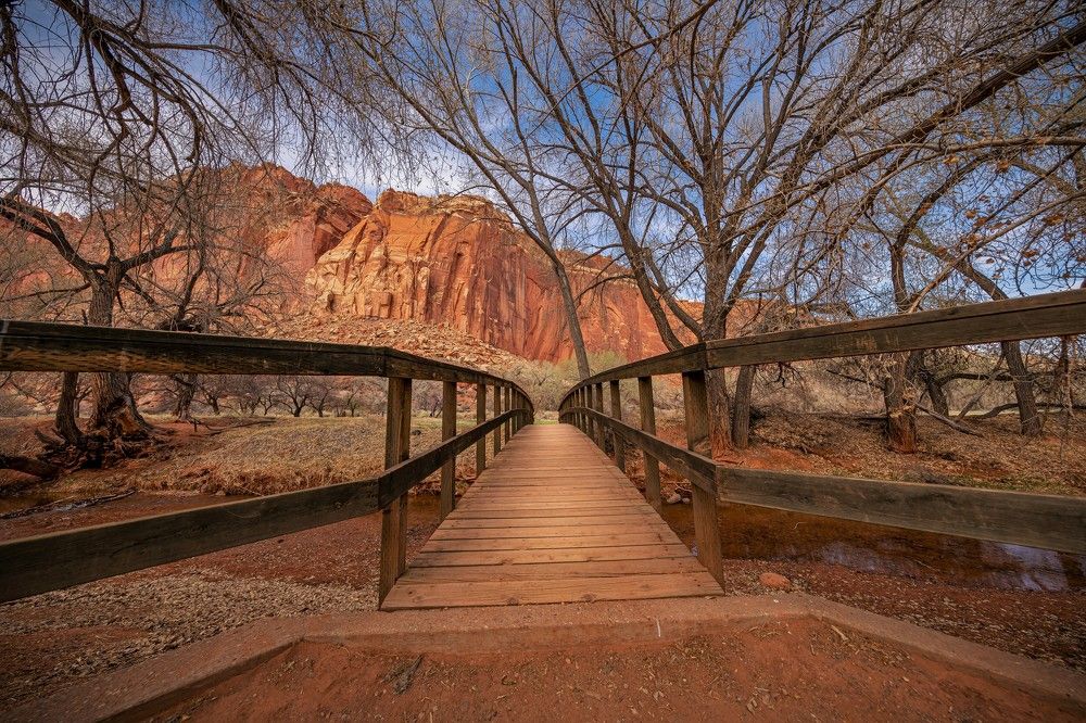 Фотография автора Aleksandr Dahov