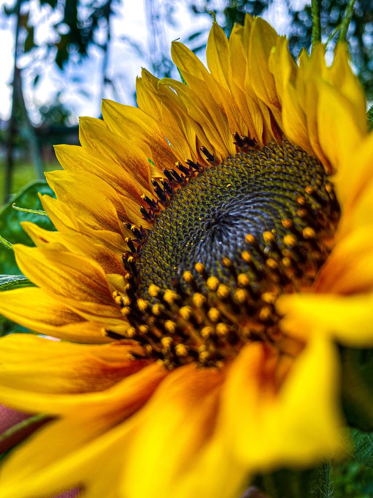 Photograph by Анастасия Гончарова