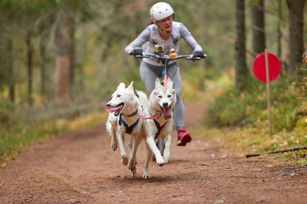 Photograph by Лана Полякова